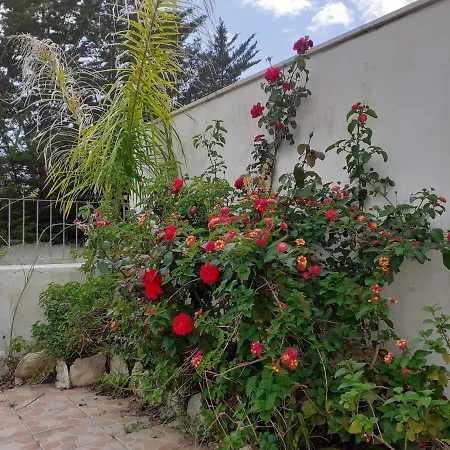 Appartamentisanfocait Ferienhaus
